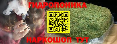 Альфа ПВП Лесосибирск