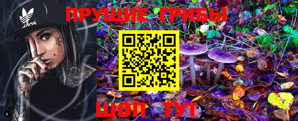 Галлюциногенные грибы GOLDEN TEACHER Вышний Волочёк